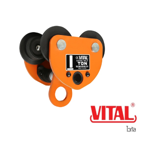 VITAL-AP